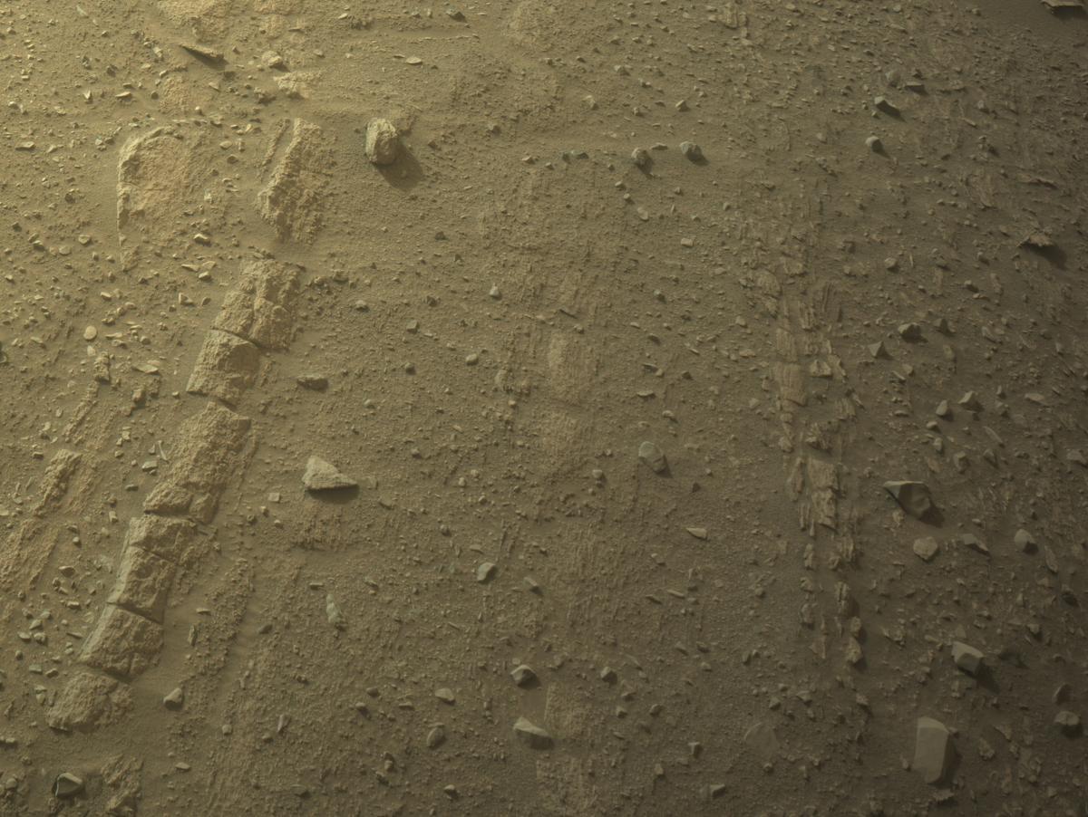 This image was taken by NAVCAM_RIGHT onboard NASA's Mars rover Perseverance on Sol 1168