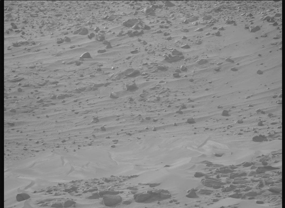 This image was taken by MCZ_LEFT onboard NASA's Mars rover Perseverance on Sol 1168