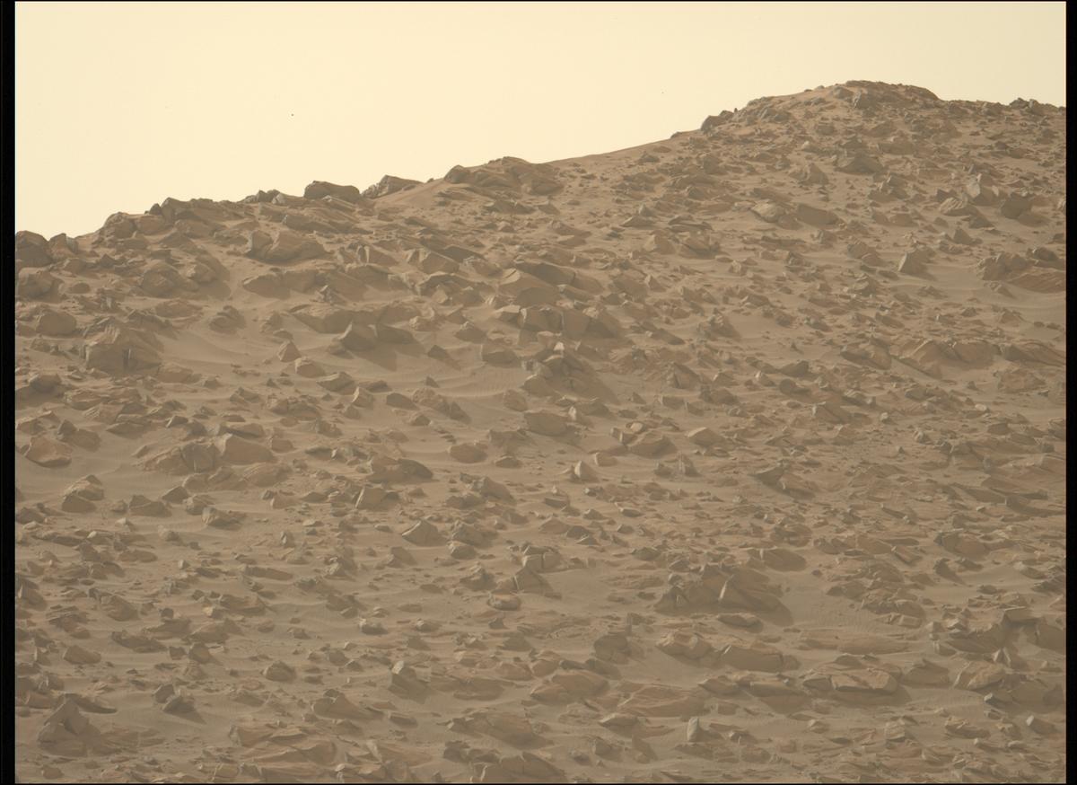 This image was taken by MCZ_LEFT onboard NASA's Mars rover Perseverance on Sol 1168