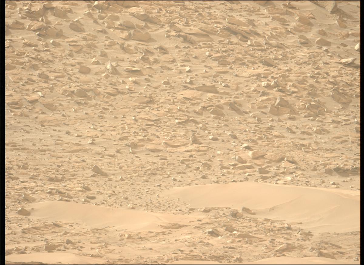 This image was taken by MCZ_LEFT onboard NASA's Mars rover Perseverance on Sol 1168