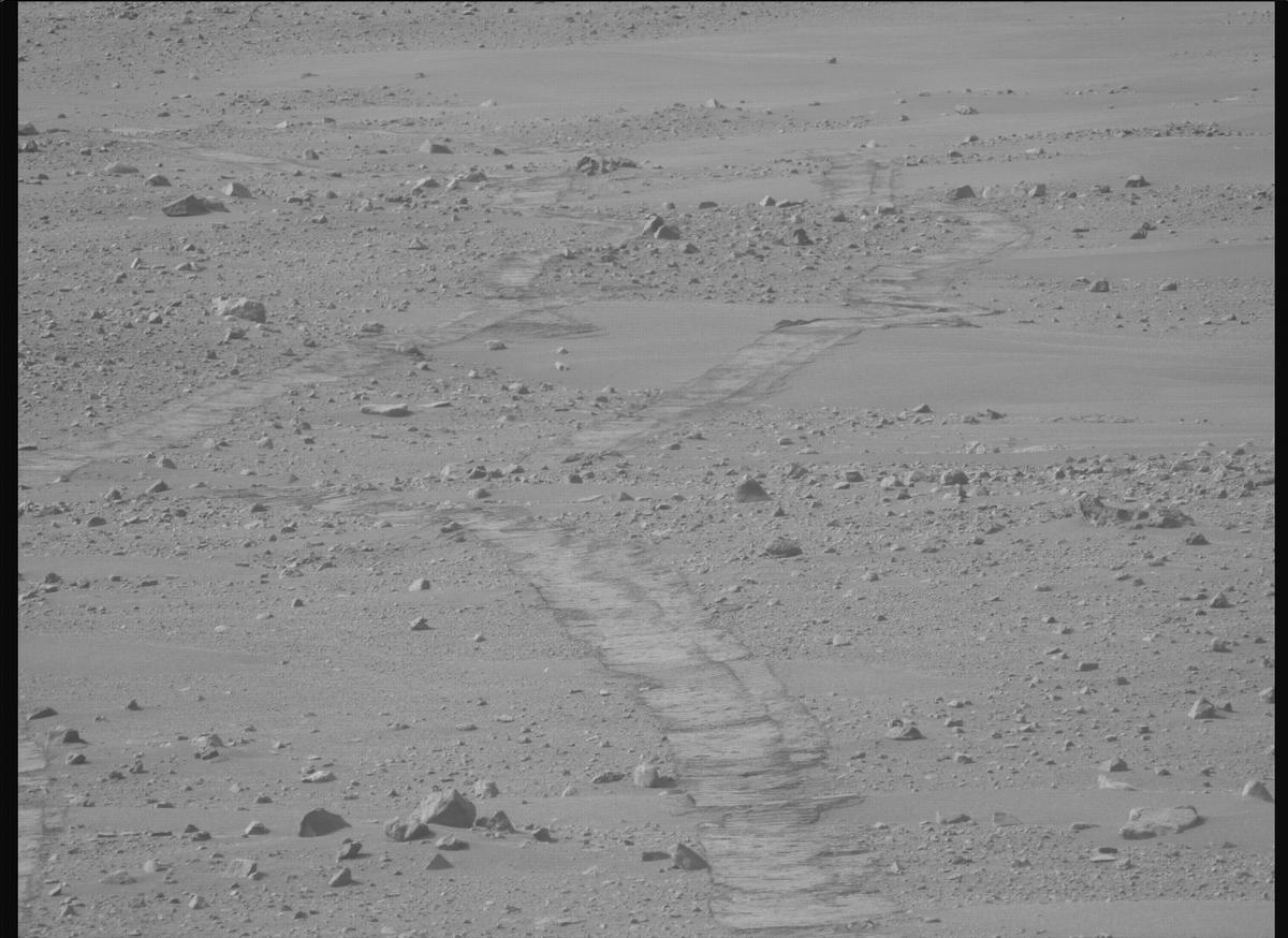 This image was taken by MCZ_LEFT onboard NASA's Mars rover Perseverance on Sol 1168