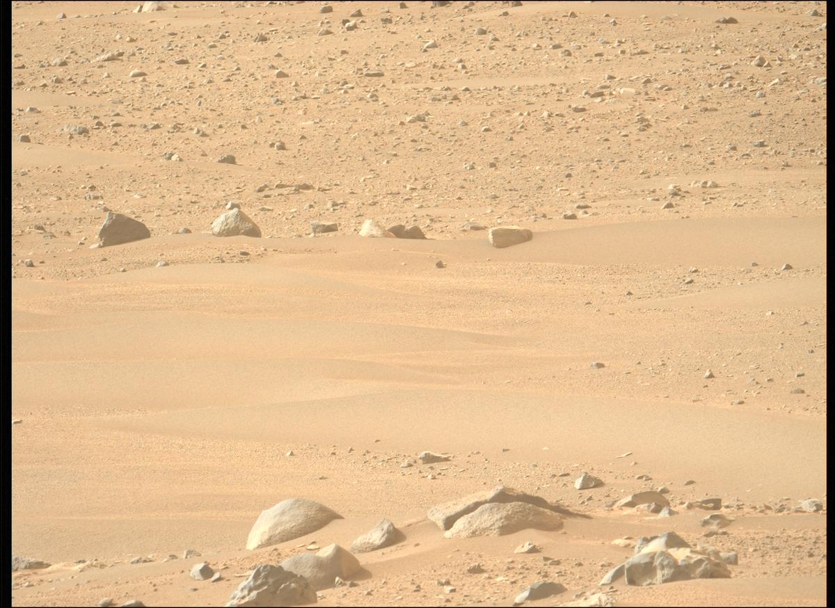 This image was taken by MCZ_LEFT onboard NASA's Mars rover Perseverance on Sol 1168