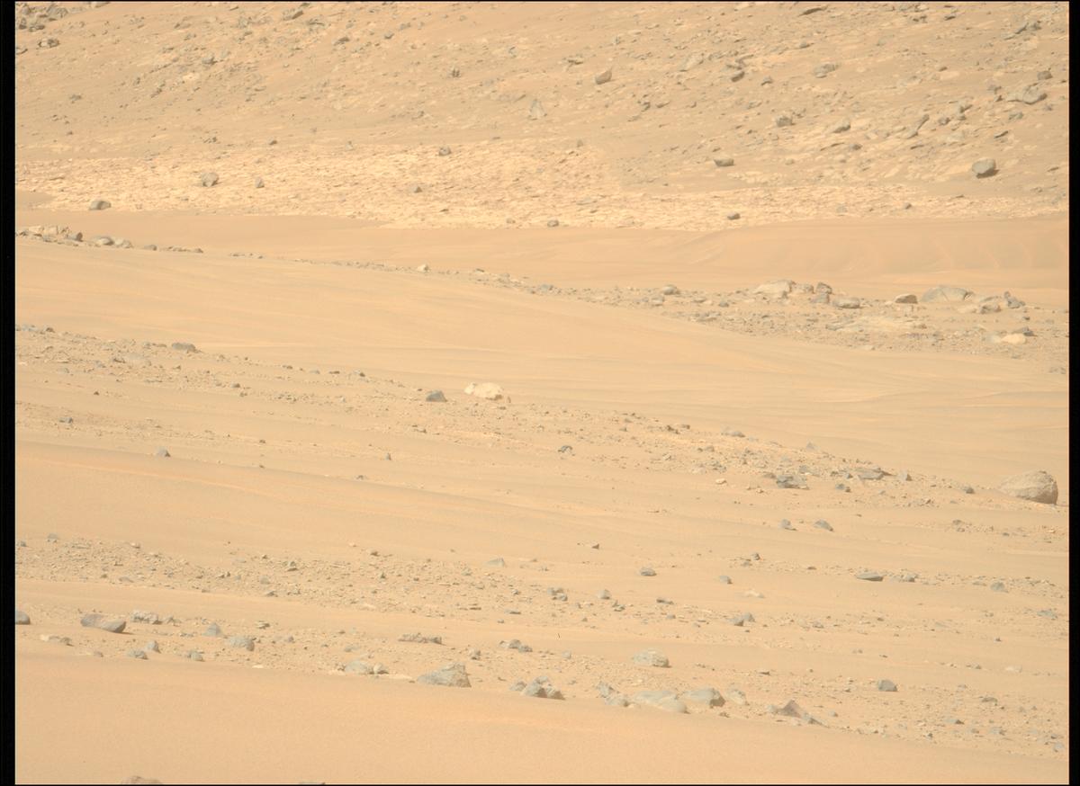 This image was taken by MCZ_LEFT onboard NASA's Mars rover Perseverance on Sol 1168