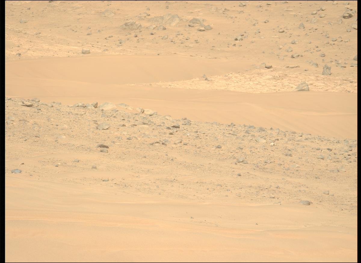 This image was taken by MCZ_LEFT onboard NASA's Mars rover Perseverance on Sol 1168