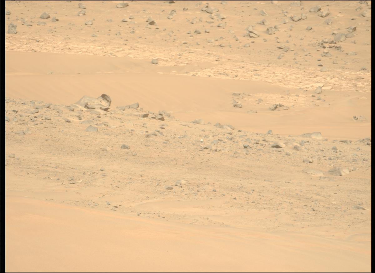 This image was taken by MCZ_LEFT onboard NASA's Mars rover Perseverance on Sol 1168