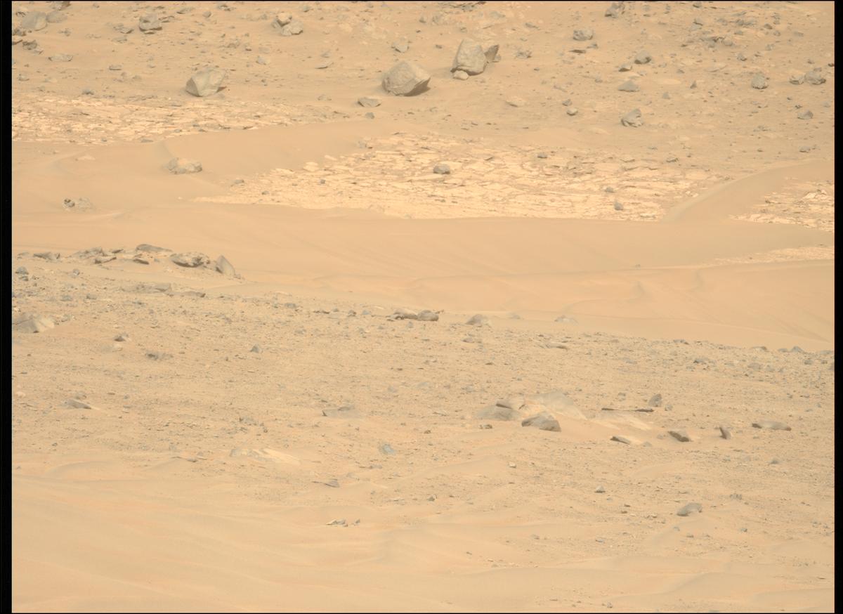 This image was taken by MCZ_LEFT onboard NASA's Mars rover Perseverance on Sol 1168