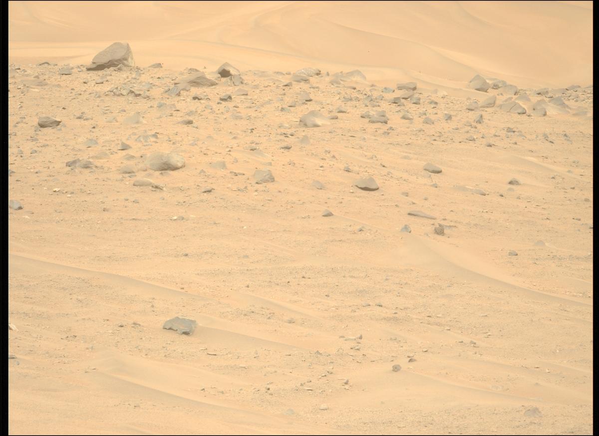 This image was taken by MCZ_LEFT onboard NASA's Mars rover Perseverance on Sol 1168