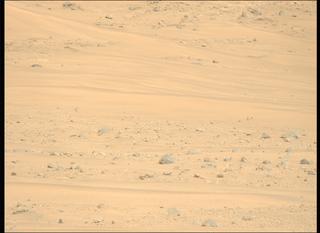 View image taken on Mars, Mars Perseverance Sol 1168: Left Mastcam-Z Camera