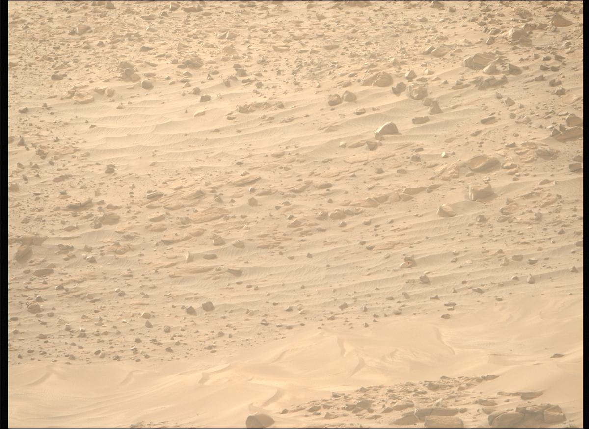 This image was taken by MCZ_RIGHT onboard NASA's Mars rover Perseverance on Sol 1168
