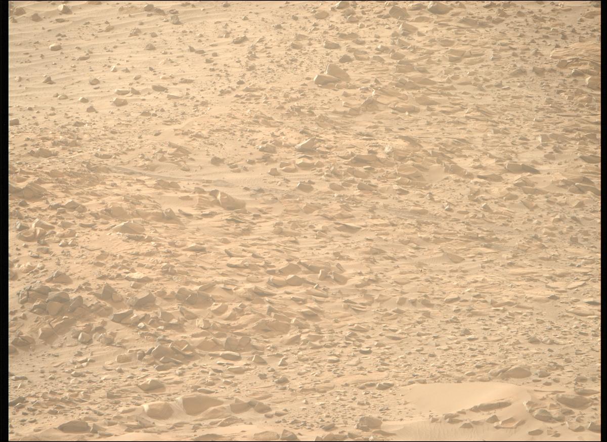 This image was taken by MCZ_RIGHT onboard NASA's Mars rover Perseverance on Sol 1168