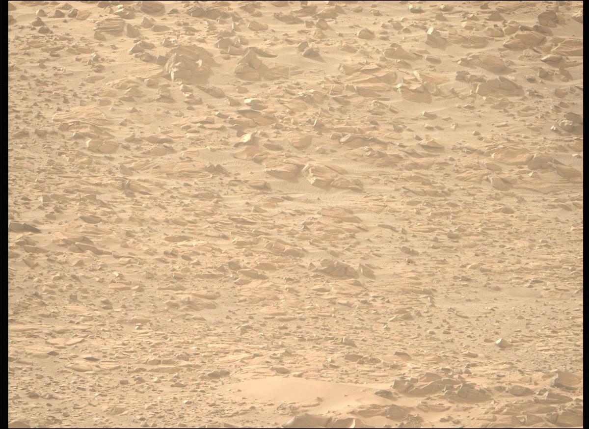 This image was taken by MCZ_RIGHT onboard NASA's Mars rover Perseverance on Sol 1168