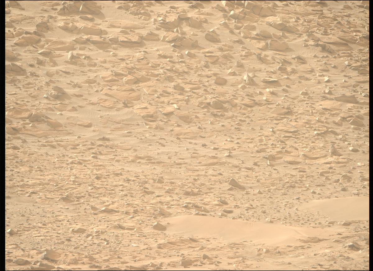 This image was taken by MCZ_RIGHT onboard NASA's Mars rover Perseverance on Sol 1168