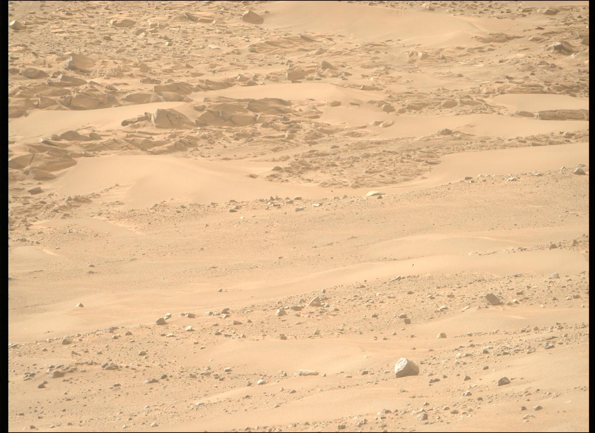 This image was taken by MCZ_RIGHT onboard NASA's Mars rover Perseverance on Sol 1168