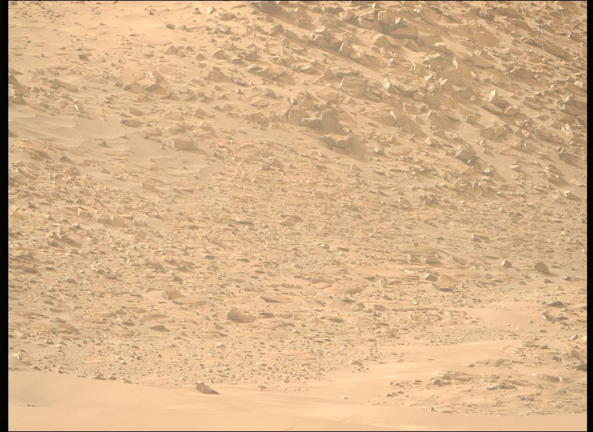 This image was taken by MCZ_RIGHT onboard NASA's Mars rover Perseverance on Sol 1168