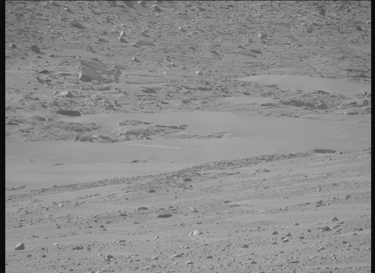 This image was taken by MCZ_RIGHT onboard NASA's Mars rover Perseverance on Sol 1168