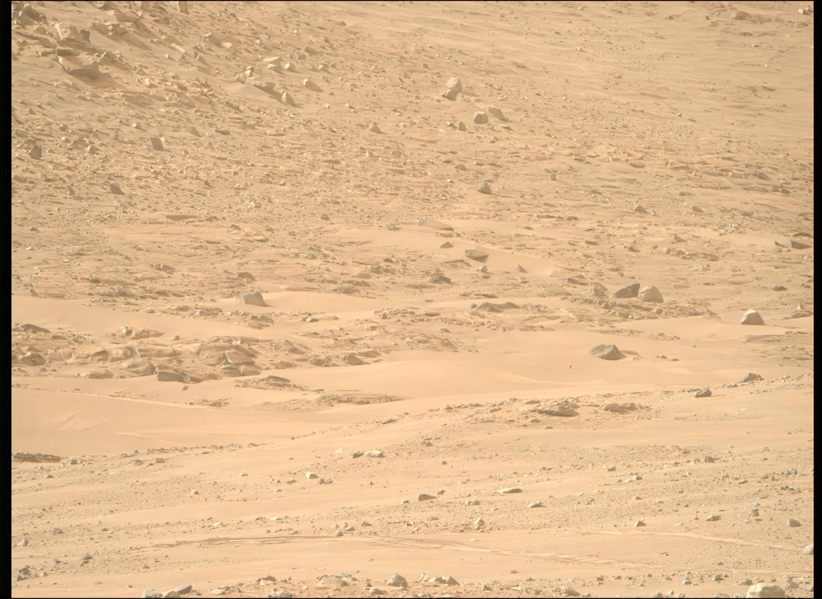 This image was taken by MCZ_RIGHT onboard NASA's Mars rover Perseverance on Sol 1168