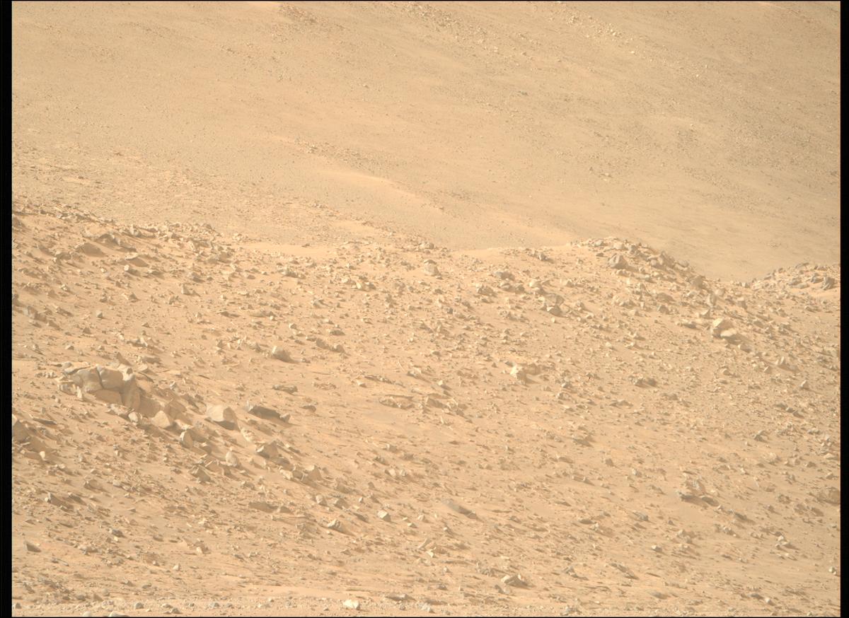 This image was taken by MCZ_RIGHT onboard NASA's Mars rover Perseverance on Sol 1168