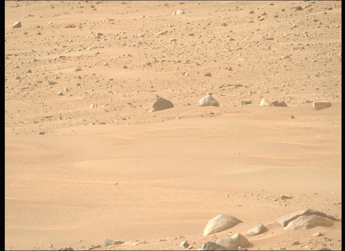This image was taken by MCZ_RIGHT onboard NASA's Mars rover Perseverance on Sol 1168