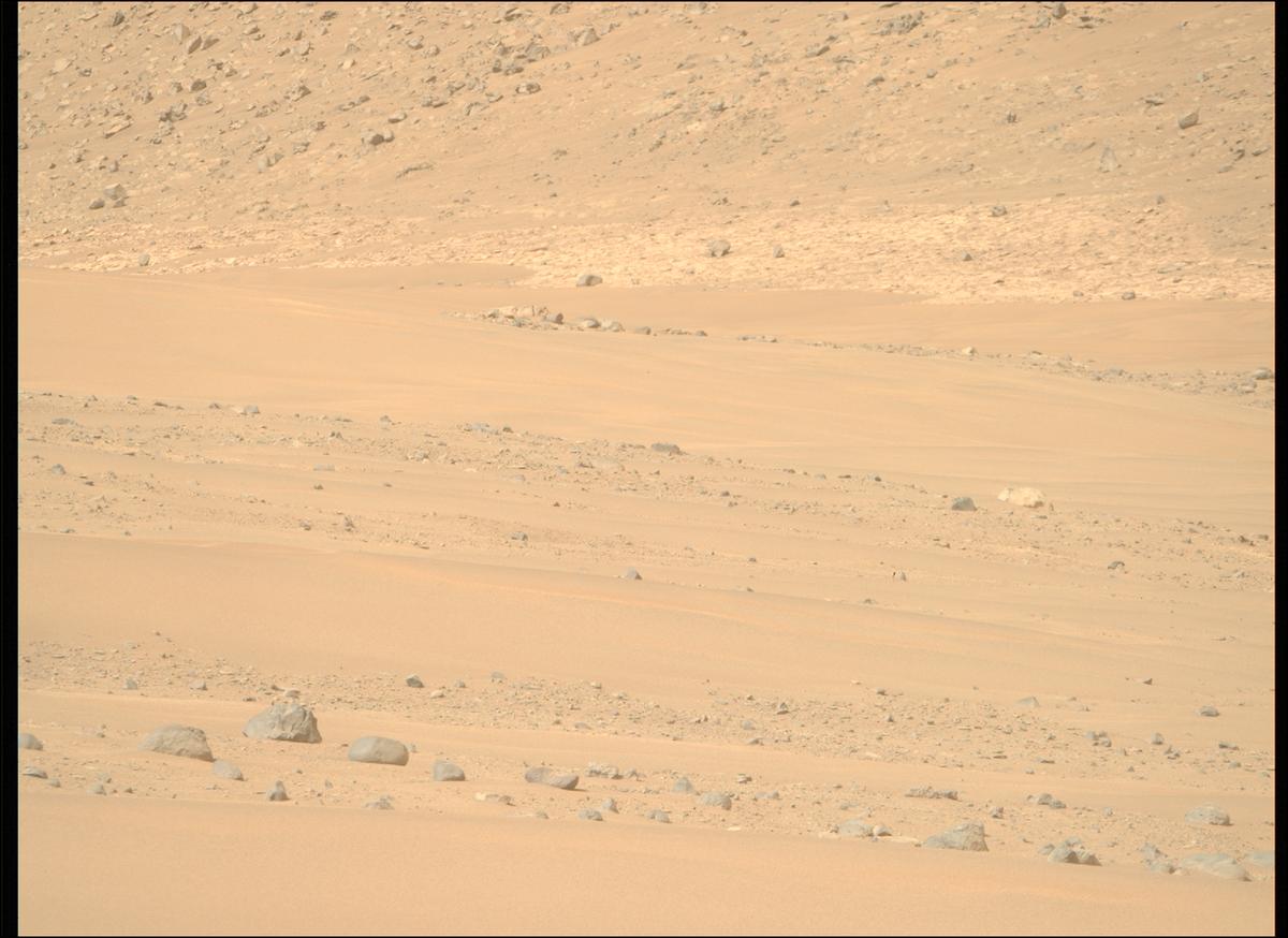 This image was taken by MCZ_RIGHT onboard NASA's Mars rover Perseverance on Sol 1168