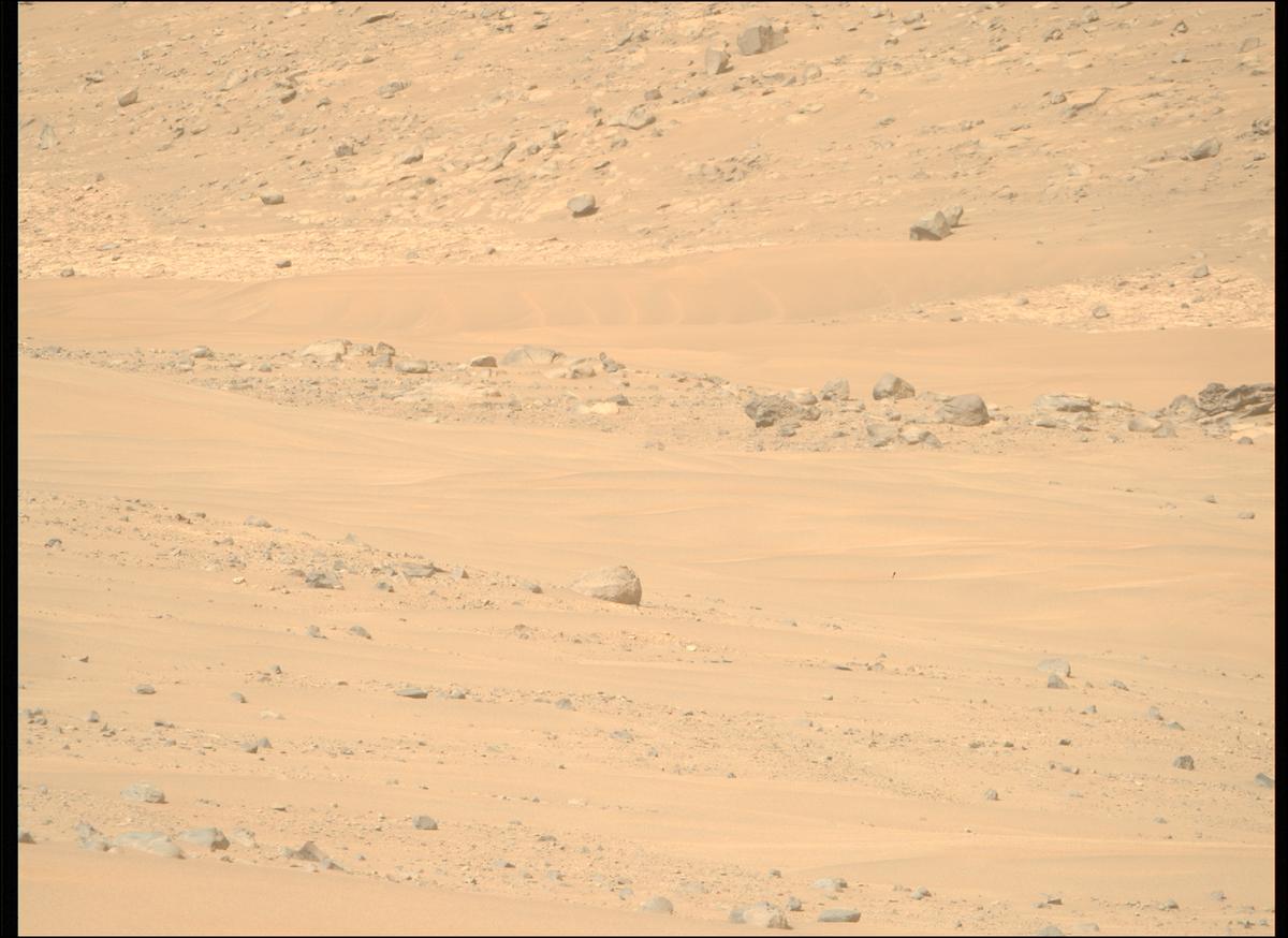 This image was taken by MCZ_RIGHT onboard NASA's Mars rover Perseverance on Sol 1168