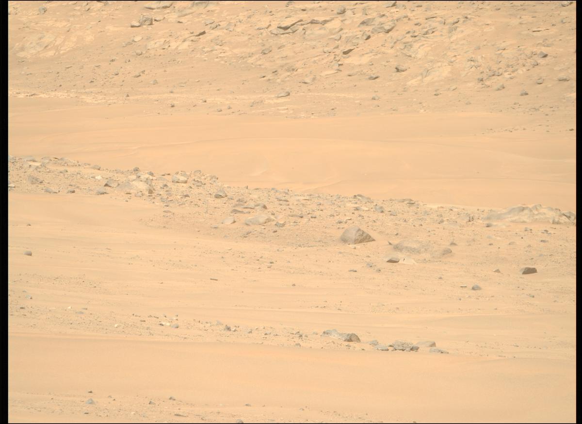 This image was taken by MCZ_RIGHT onboard NASA's Mars rover Perseverance on Sol 1168