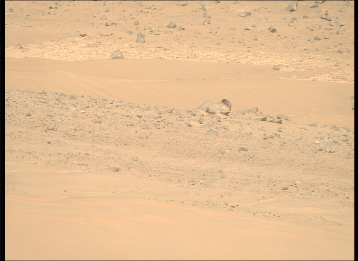 This image was taken by MCZ_RIGHT onboard NASA's Mars rover Perseverance on Sol 1168