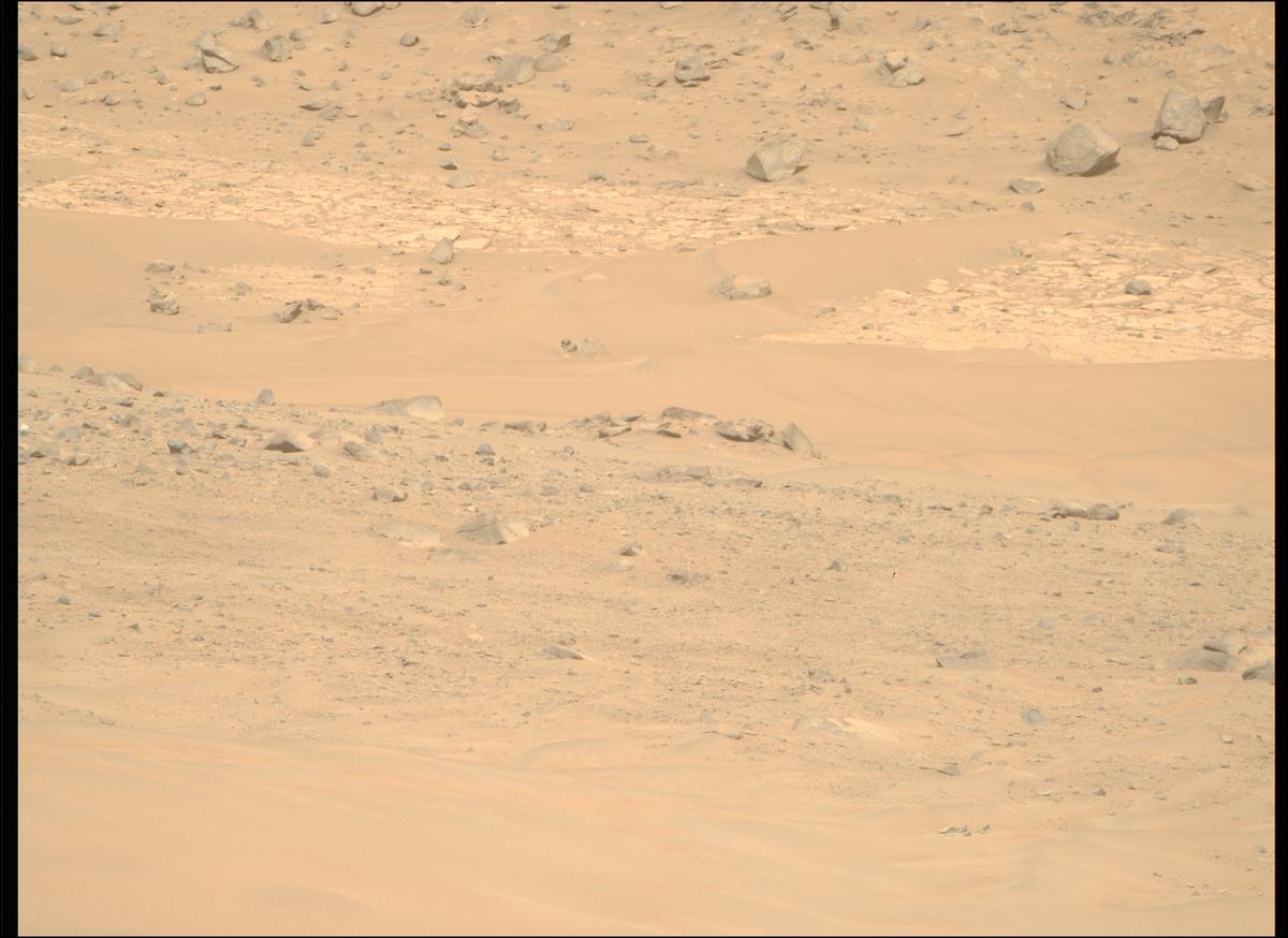 This image was taken by MCZ_RIGHT onboard NASA's Mars rover Perseverance on Sol 1168