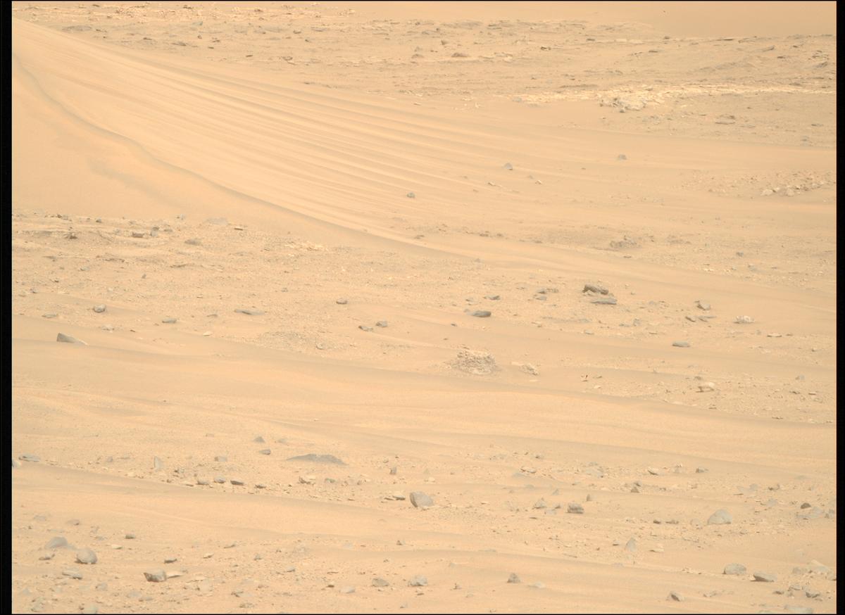This image was taken by MCZ_RIGHT onboard NASA's Mars rover Perseverance on Sol 1168