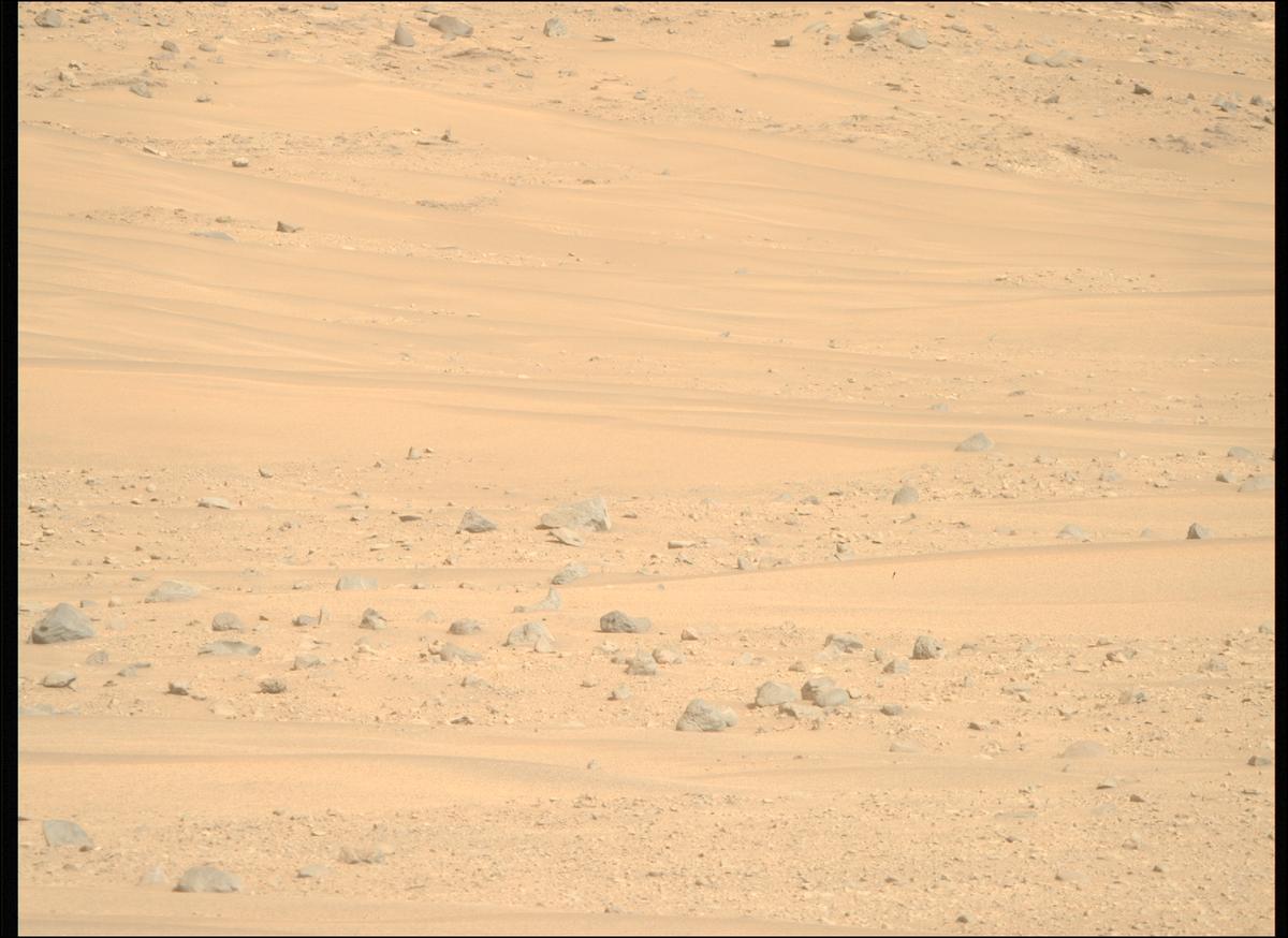 This image was taken by MCZ_RIGHT onboard NASA's Mars rover Perseverance on Sol 1168