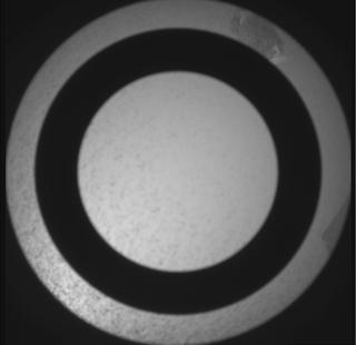 View image taken on Mars, Mars Perseverance Sol 1170: SkyCam Camera 
