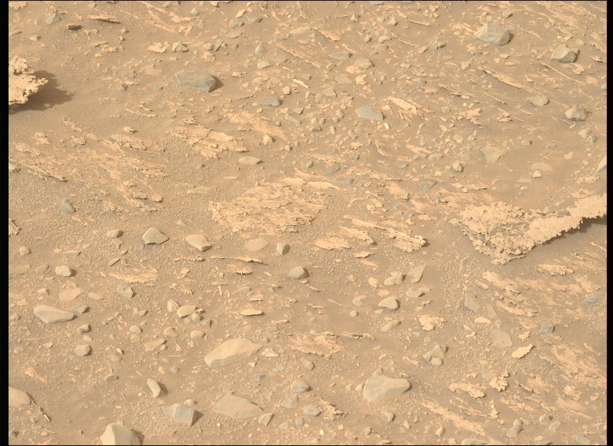 This image was taken by MCZ_LEFT onboard NASA's Mars rover Perseverance on Sol 1170