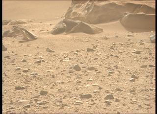 View image taken on Mars, Mars Perseverance Sol 1170: Left Mastcam-Z Camera