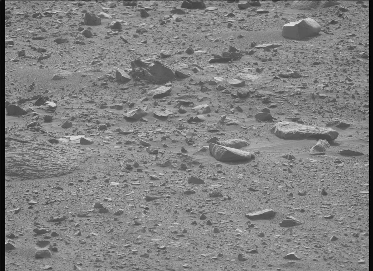 This image was taken by MCZ_LEFT onboard NASA's Mars rover Perseverance on Sol 1170