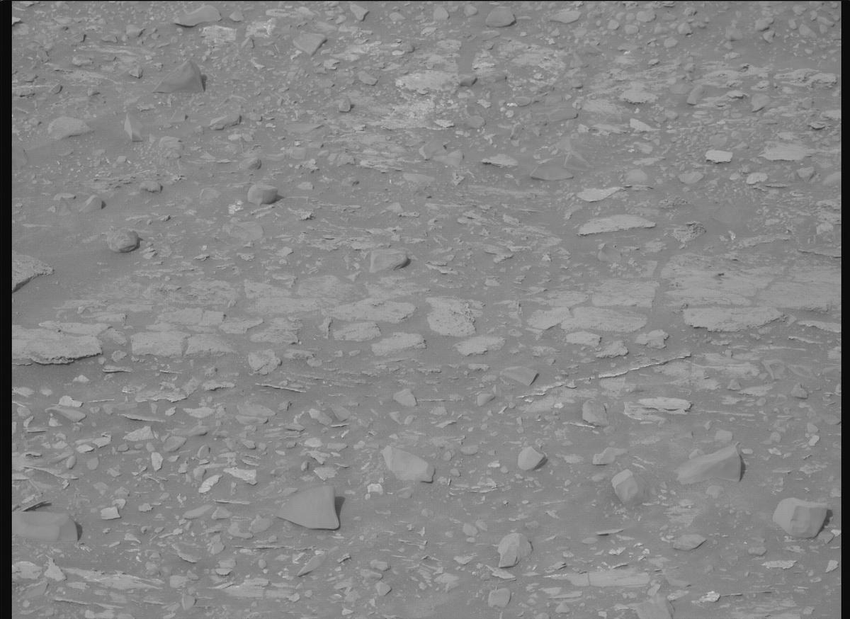 This image was taken by MCZ_RIGHT onboard NASA's Mars rover Perseverance on Sol 1170