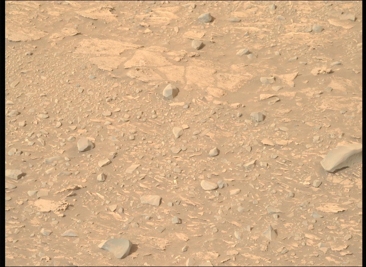 This image was taken by MCZ_RIGHT onboard NASA's Mars rover Perseverance on Sol 1170
