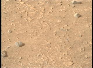 View image taken on Mars, Mars Perseverance Sol 1170: Right Mastcam-Z Camera