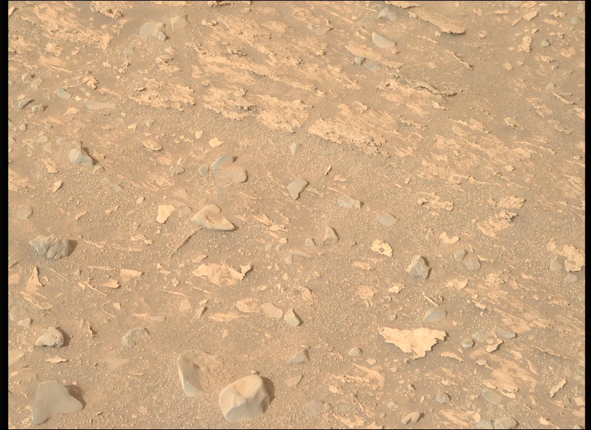 This image was taken by MCZ_RIGHT onboard NASA's Mars rover Perseverance on Sol 1170