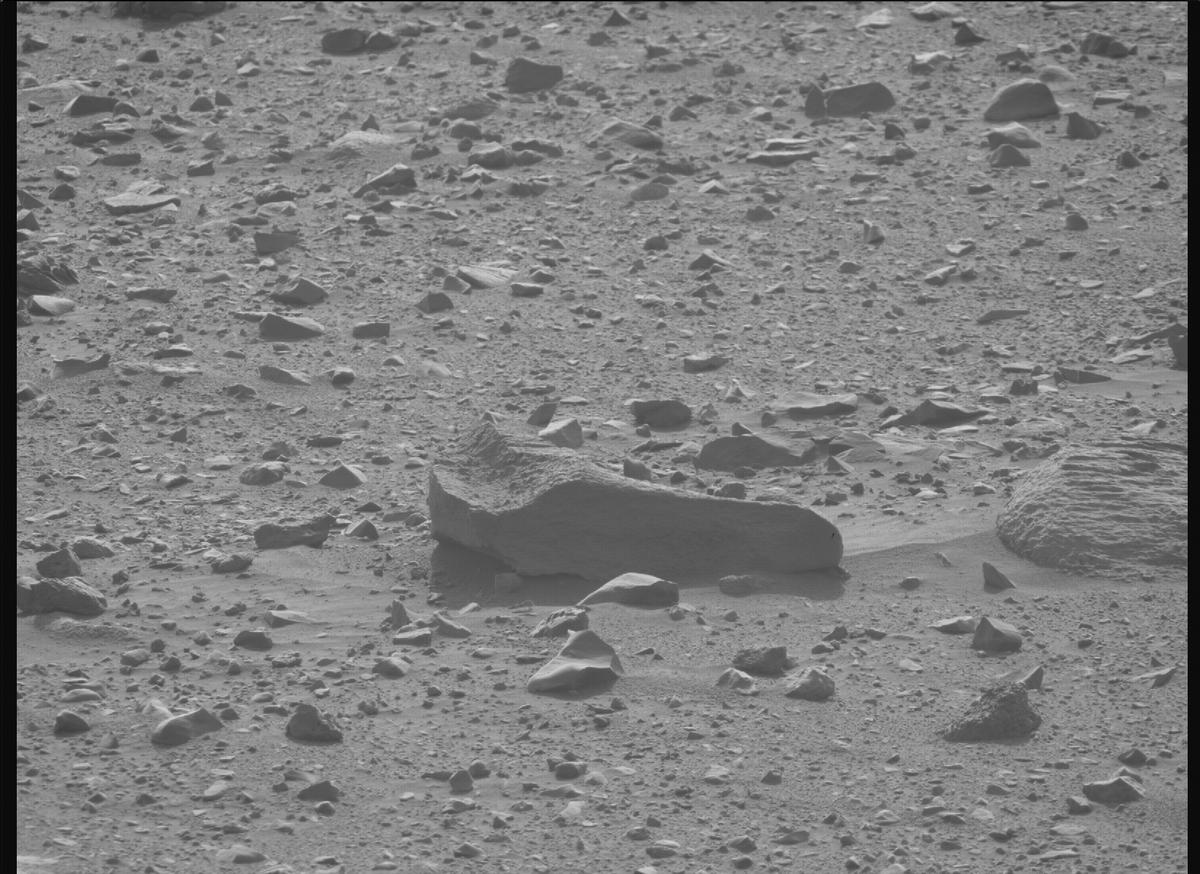 This image was taken by MCZ_RIGHT onboard NASA's Mars rover Perseverance on Sol 1170