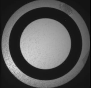 View image taken on Mars, Mars Perseverance Sol 1171: SkyCam Camera 
