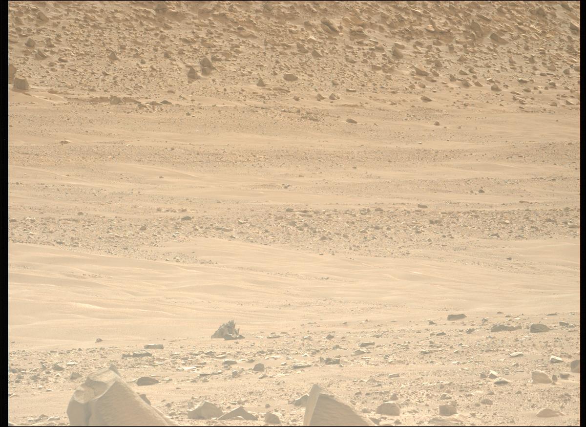 This image was taken by MCZ_LEFT onboard NASA's Mars rover Perseverance on Sol 1171