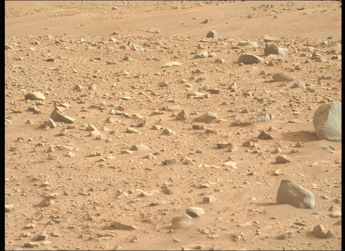 This image was taken by MCZ_LEFT onboard NASA's Mars rover Perseverance on Sol 1171