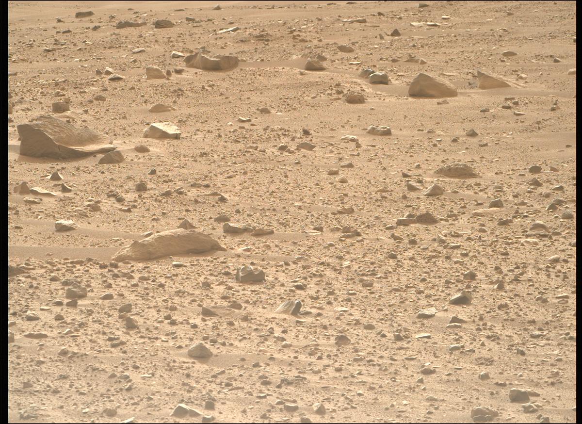 This image was taken by MCZ_RIGHT onboard NASA's Mars rover Perseverance on Sol 1171
