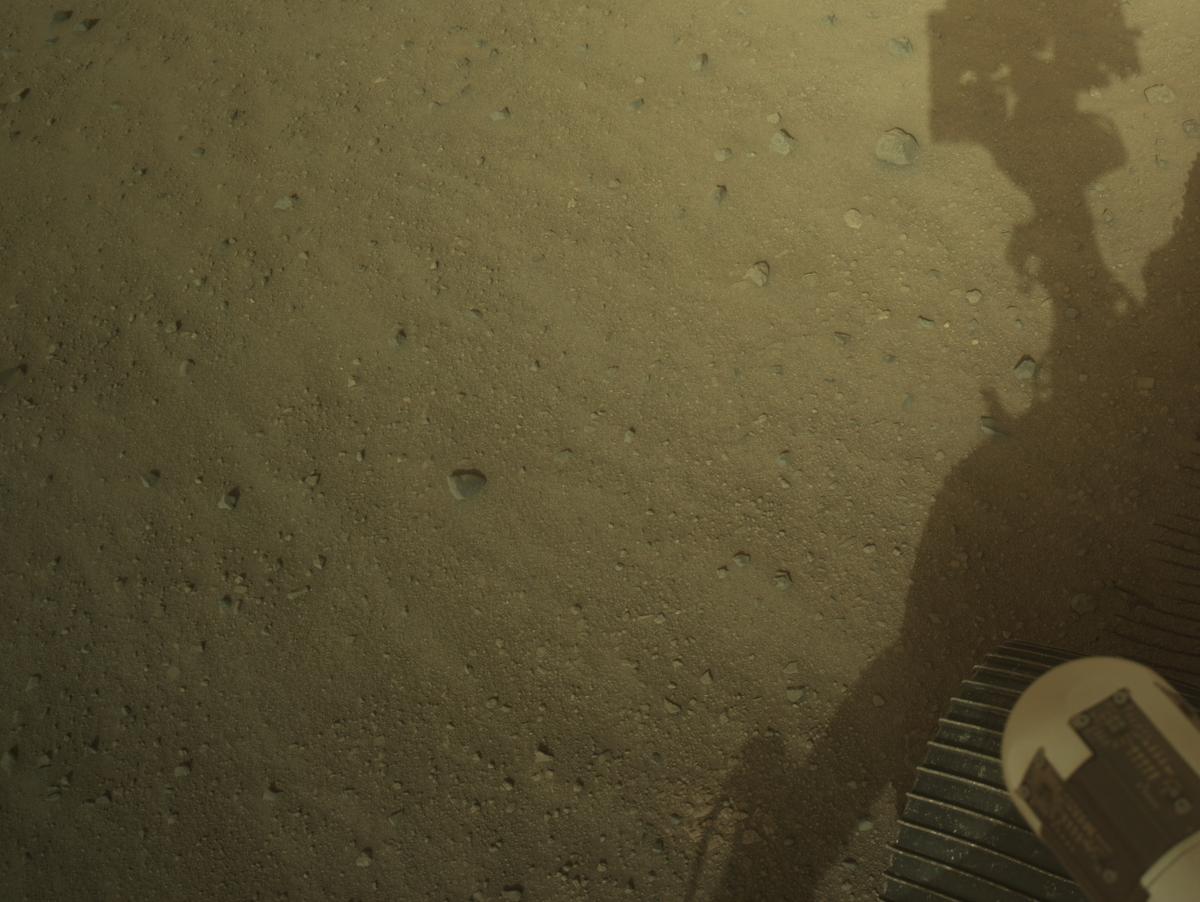 This image was taken by NAVCAM_LEFT onboard NASA's Mars rover Perseverance on Sol 1174