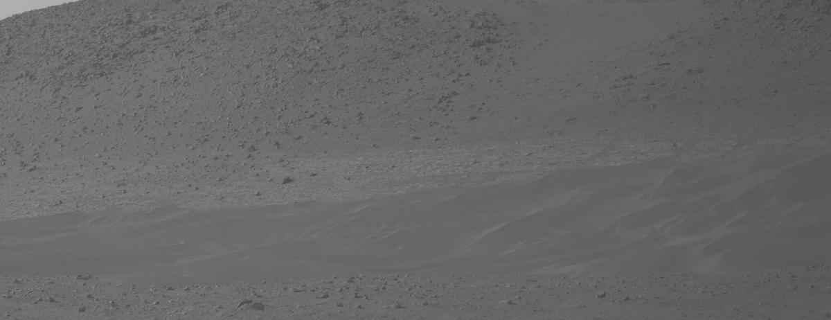 This image was taken by NAVCAM_RIGHT onboard NASA's Mars rover Perseverance on Sol 1174