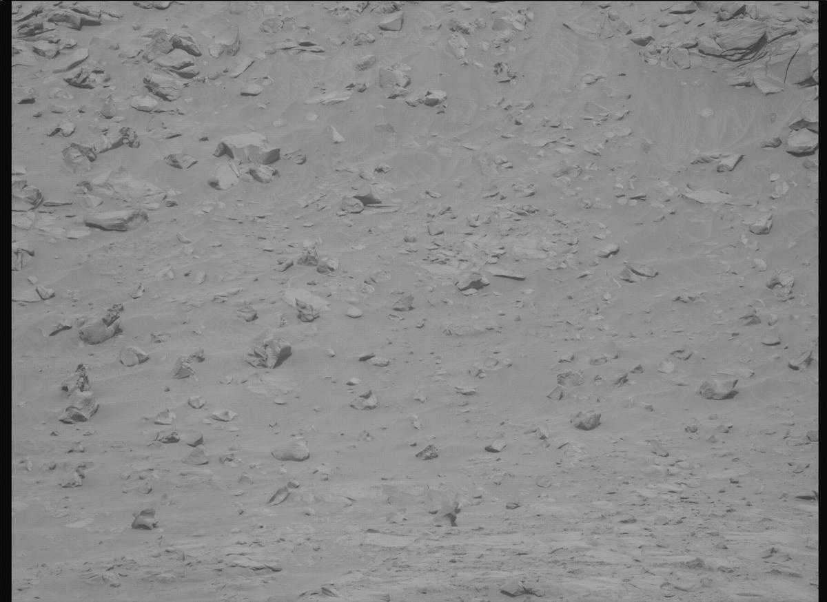 This image was taken by MCZ_LEFT onboard NASA's Mars rover Perseverance on Sol 1174