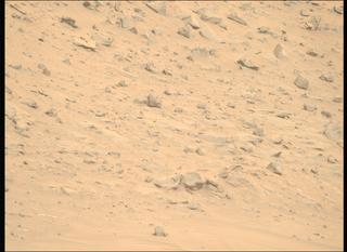 View image taken on Mars, Mars Perseverance Sol 1174: Right Mastcam-Z Camera