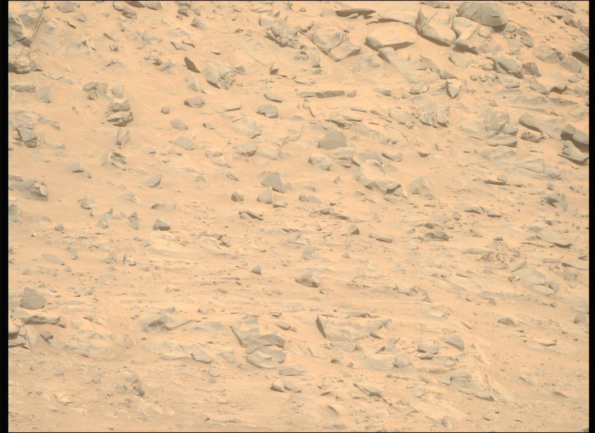 This image was taken by MCZ_RIGHT onboard NASA's Mars rover Perseverance on Sol 1174