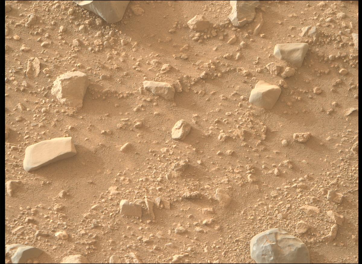 This image was taken by MCZ_RIGHT onboard NASA's Mars rover Perseverance on Sol 1174