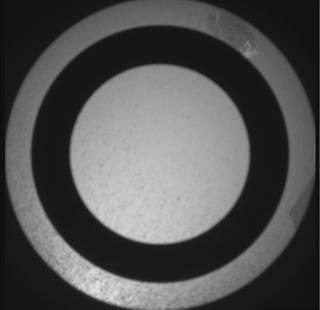 View image taken on Mars, Mars Perseverance Sol 1175: SkyCam Camera 