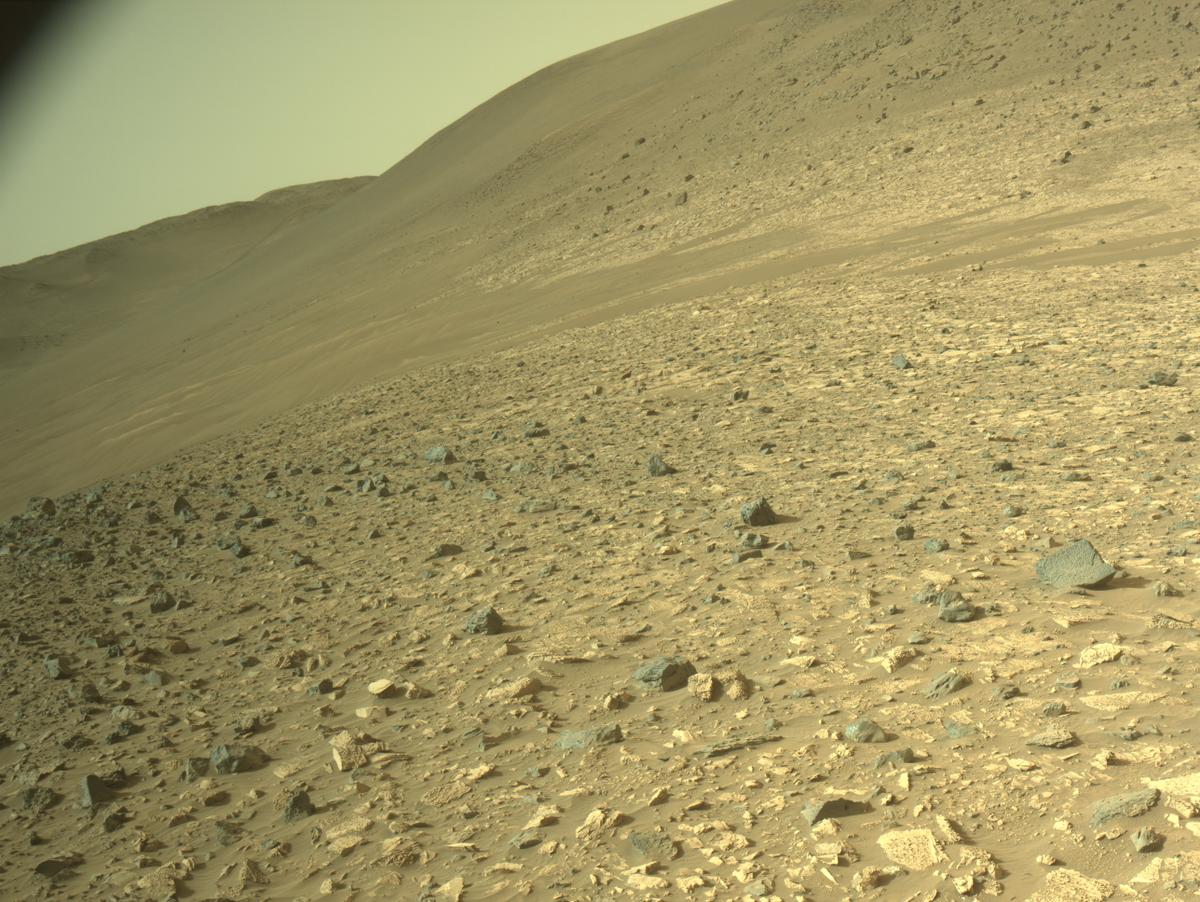 This image was taken by NAVCAM_LEFT onboard NASA's Mars rover Perseverance on Sol 1175